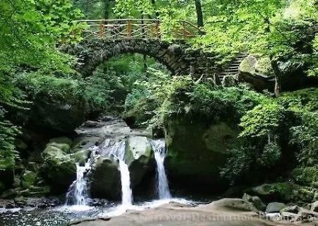 לינה וארוחת בוקר Joy's Berbourg