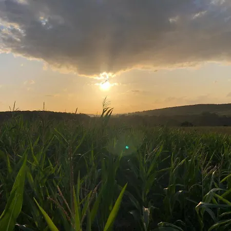 Joy's Bed & Breakfast *