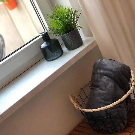 Joy's לינה וארוחת בוקר