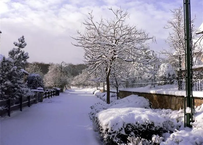 Joy's Bed & Breakfast