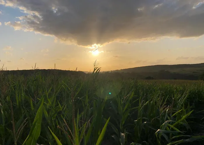 Joy's Bed & Breakfast *