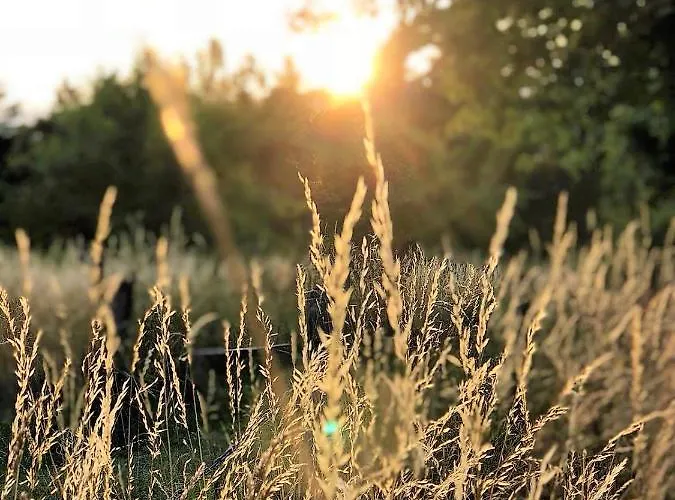 Bed & Breakfast Joy's