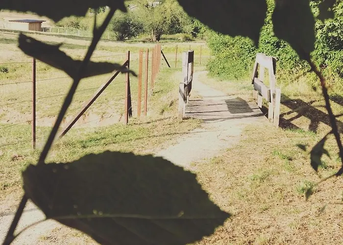 Bed & Breakfast Joy's Berbourg